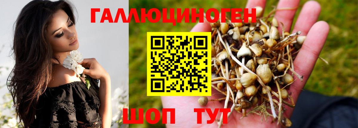 Альфа ПВП Можайск