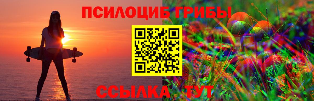 Можайск  Псилоцибиновые грибы MAGIC MUSHROOMS  Вход с VPN 